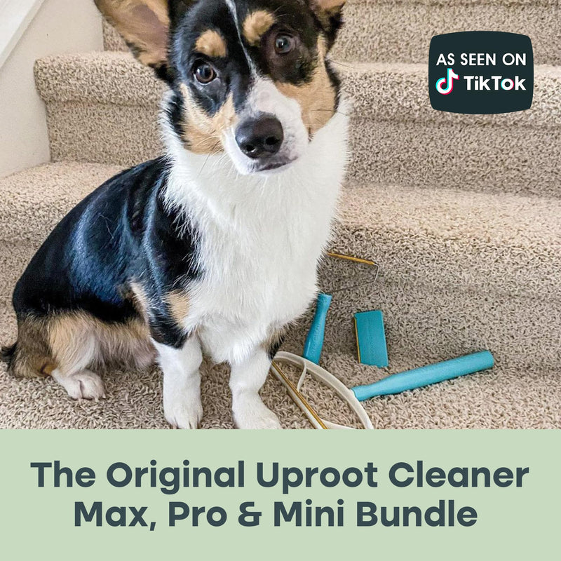 Uproot Clean Fur-Nado Survival Kit - Uproot Cleaner Pro Pet Hair Remover + Mini & Max Variants - Pet Hair Removers and Carpet Scraper - Easy Cat Hair Remover & Dog Hair Remover Bundle! - PawsPlanet Australia