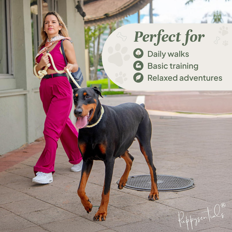 Braided Cotton Rope Dog Leash for Medium & Large Dogs – Enjoy Tangle-Free Walks with Soft Comfortable Grip & Reliable Control – Durable for Daily Walks, Training & Special Moments - Warm Cream - PawsPlanet Australia
