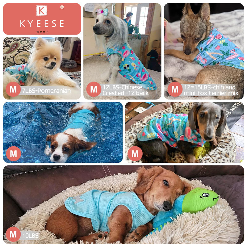 KYEESE 2Pack Dog Shirt, Lightweight Sun Protection Dog T Shirts for Small Dogs Boy Girl, Breathable Mesh Tank Top Sleeveless Pet Reflective Vest, Soft Summer Dogs Clothes, Flamingo+Blue, M Medium (7-13lbs) 1# 2Pack (Flamingo+blue) - PawsPlanet Australia
