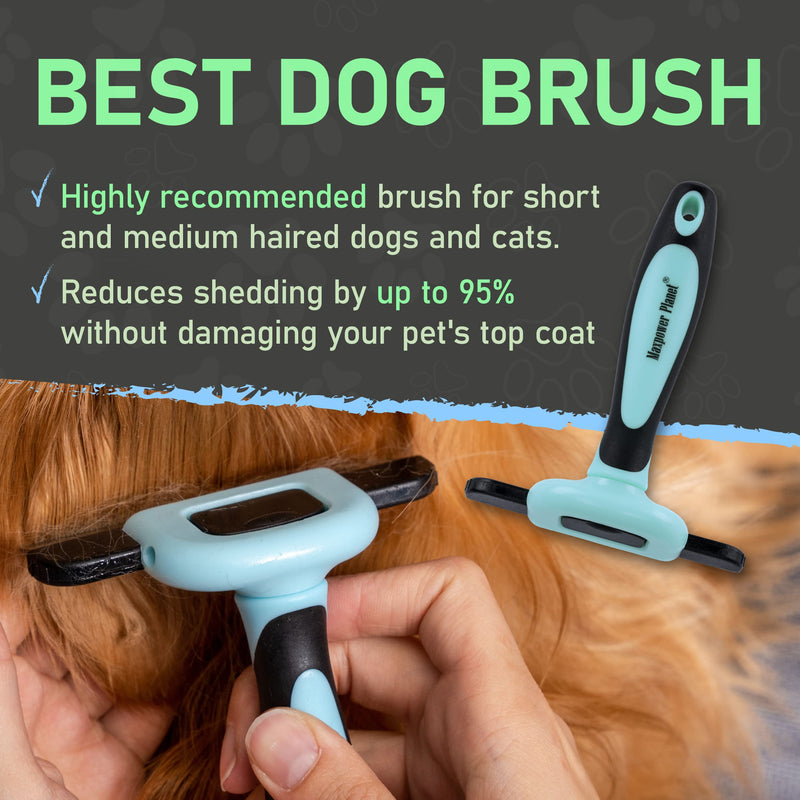 Maxpower Planet Dog Grooming Rake and Blue Deshedding Tool - Double-Sided Dermatting Brush and Grooming Brush for Pets - PawsPlanet Australia