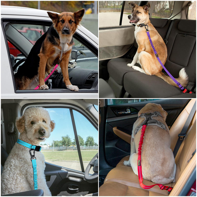 Plutus Pet Dog Seat Belt for Car, Adjustable Dog Car Harness with Carabiner Clip, Reflective Safety Dog Seatbelt Leash with Elastic Bungee, Black - PawsPlanet Australia