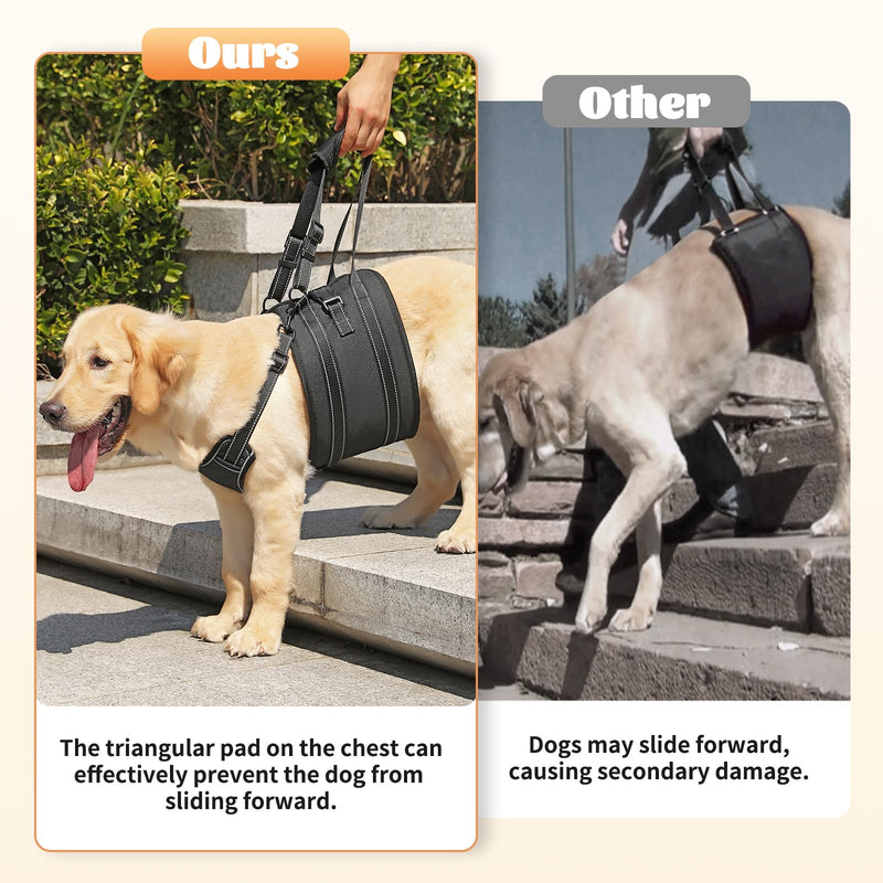 NOYAL Dog Lift Harness Sling - Adjustable Pet Carrier for Senior Dogs with Arthritis Joint Injuries, Emergency Support Rehabilitation Aid for Nail Trimming, Stairs Assistance Medium Black1 - PawsPlanet Australia
