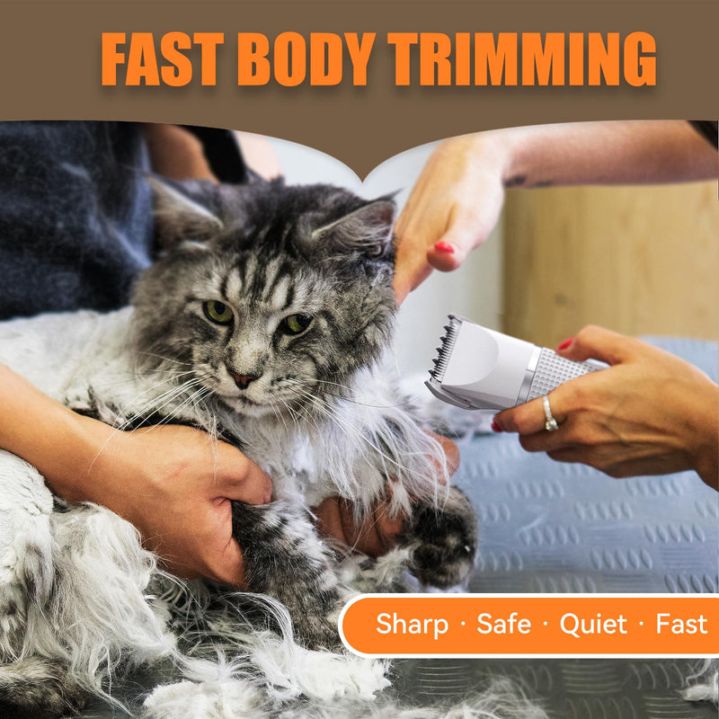 Cat Grooming Clippers Kit, Low Noise Cat Shaver for Matted Fur Claw - Paw Trimmer for Dogs with Stainless Steel Scissors Combs & USB-C Charging Cable Snow