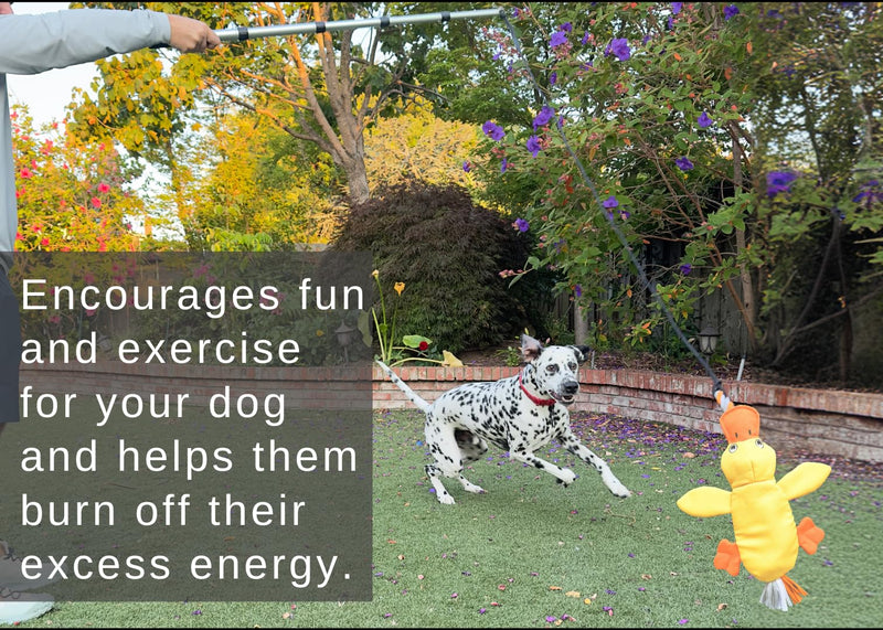 Flirt Pole for Dogs Heavy Duty - Multi-Sensory Tough Chase Toy for Medium & Large Breeds – Extra Strong 39" Dog Teaser Wand for Backyard Play, Training and Interactive Fun (Duck) Duck - PawsPlanet Australia