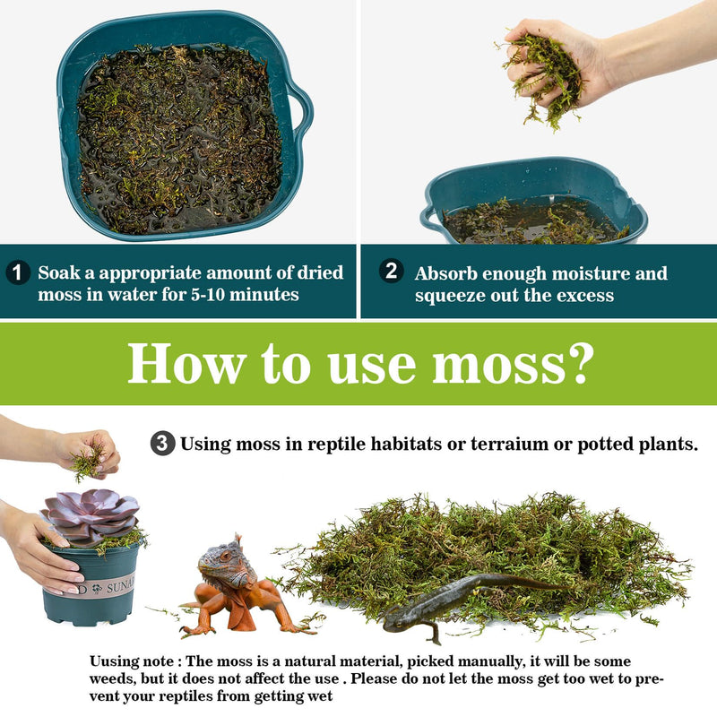 Sukh Sphagnum Moss for Reptiles -Terrarium Moss for Reptiles Peat Moss for Reptiles Habitat Bedding Moss for Snakes Turtle Frog Gecko and Other Reptiles Substrate (3, Ounces) 3 Ounces