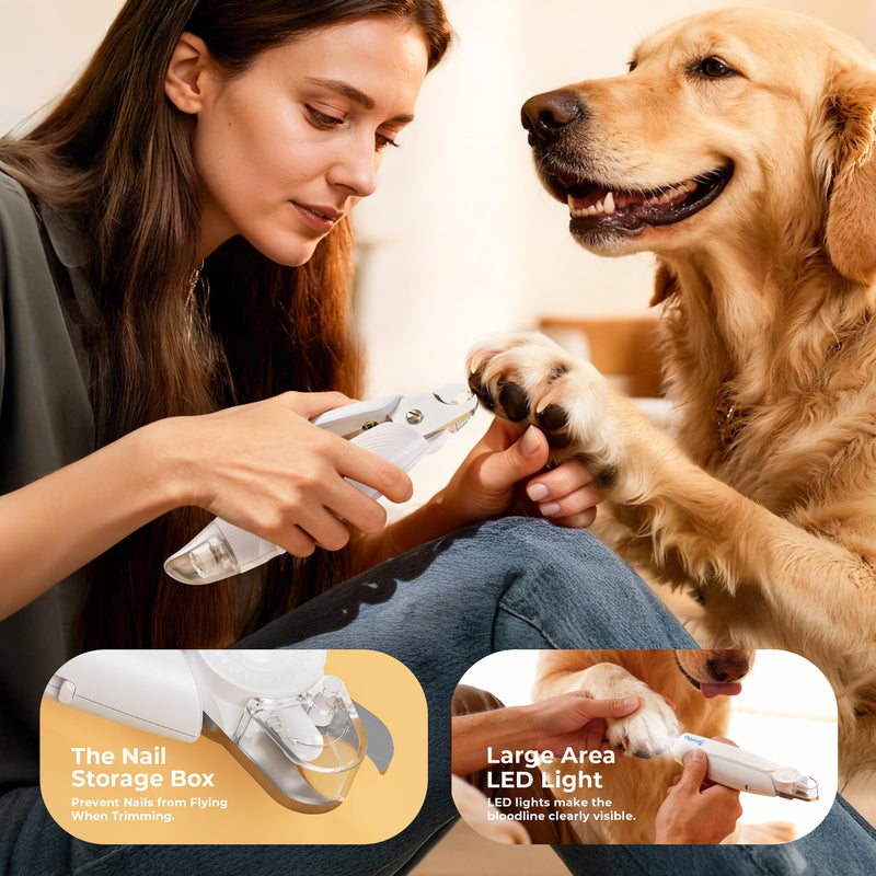 2-in-1 Dog Nail Clippers & Dog Nail Trimmers for Small Medium Large Dogs Cats Pets with Spash Guard, Nail Clipper for Dogs Quiet, USB Rechargeable, Dog Nail Clippers with 2 LED Large Light - PawsPlanet Australia