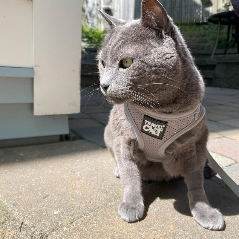 Travel Cat Harness and Leash Set - Adjustable Fit Mesh Cat Harness and Reflective Strap - Comfort Walking Vest for Kitten for Outdoor Walking, Hiking (Small, Grey) Small - PawsPlanet Australia