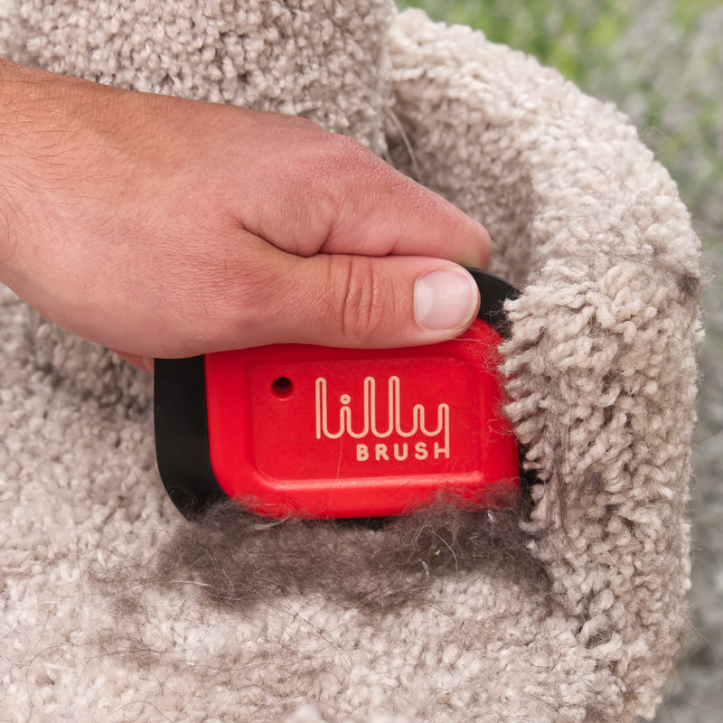 Lilly Brush Mini Pet Hair Detailer | Reusable Fur Remover for Car Interior, Carpet, Couch & Furniture - PawsPlanet Australia
