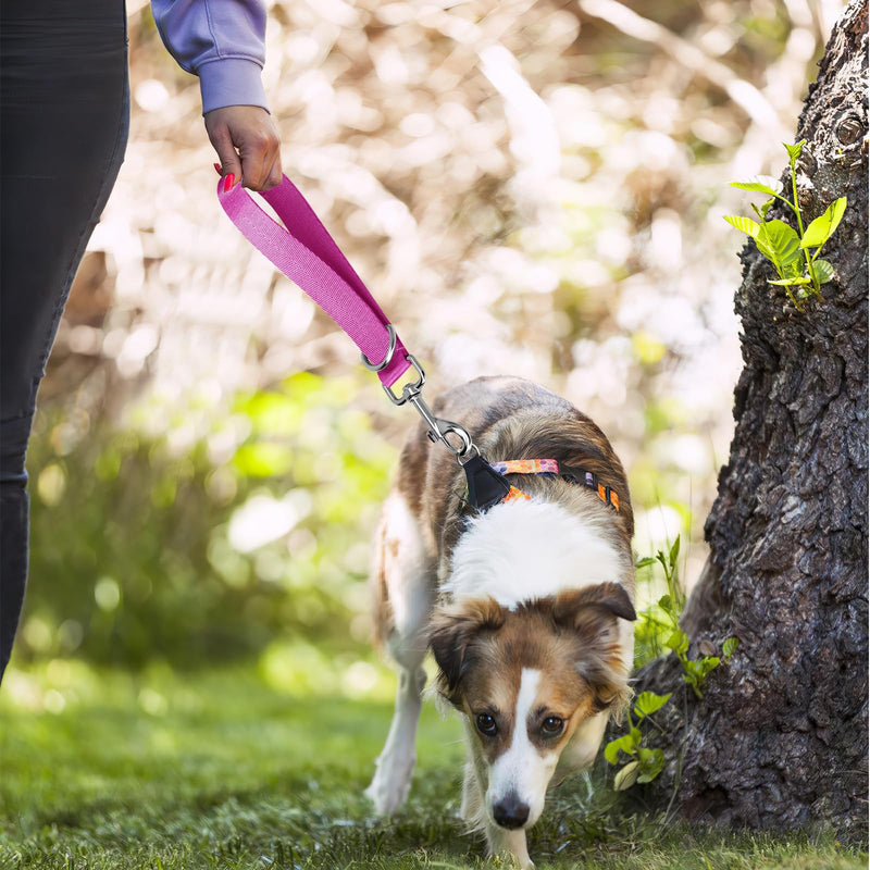 Short Dog Leash,Short Lead,Dog Training Tab Leash for Small Dogs,Pet Leashes for Large Medium Dogs(Blue and Green) Blue And Green - PawsPlanet Australia