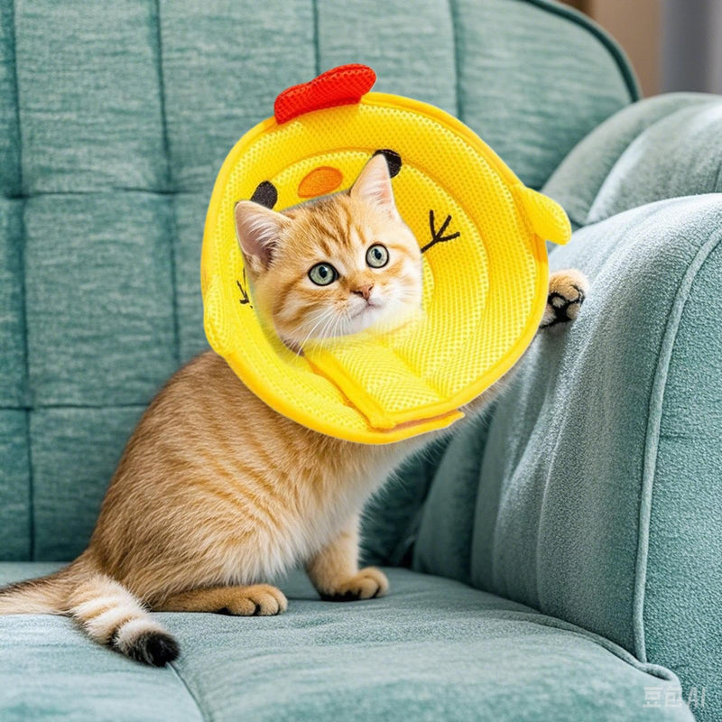 Dog Head Cone | Pet Elizabeth Collar - Wound Protection Neck Cover Stop Licking for Puppies, Kittens, Small, Medium and Large Animals