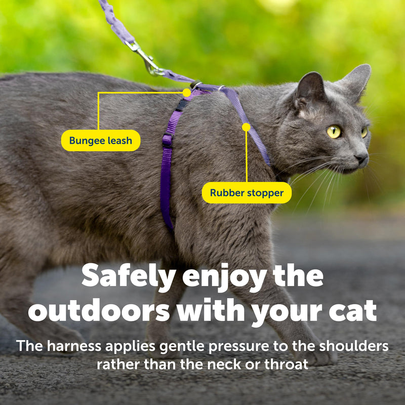 PetSafe Come with Me Kitty Cat Harness & Bungee Leash - Comfortable No-Choke Harness with Lightweight Bungee Leash for Outdoor Fun - Escape Free Pulling Prevention - Large - Lilac Large (Pack of 1) - PawsPlanet Australia