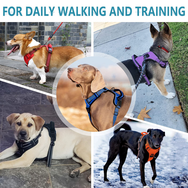 No Pull Dog Harness for Small Medium Large Dogs Adjustable Reflective Pet Vest with Front Clip Padded Harness for Dogs Easy Control Handle Best for Outdoor Training and Walking Purple M - PawsPlanet Australia