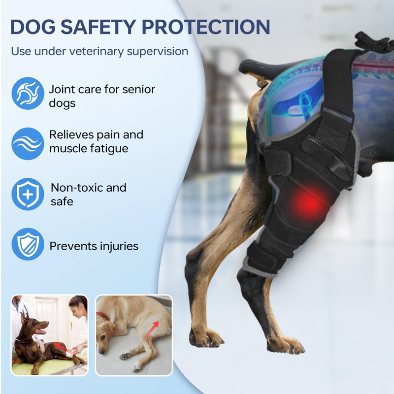 Dog Knee Brace for Back Leg - Adjustable Breathable Canine Leg Wrap with Hot & Cold Gel Packs - Supports Large & Medium Dogs with Arthritis, Hip Dysplasia, ACL Injuries M right leg