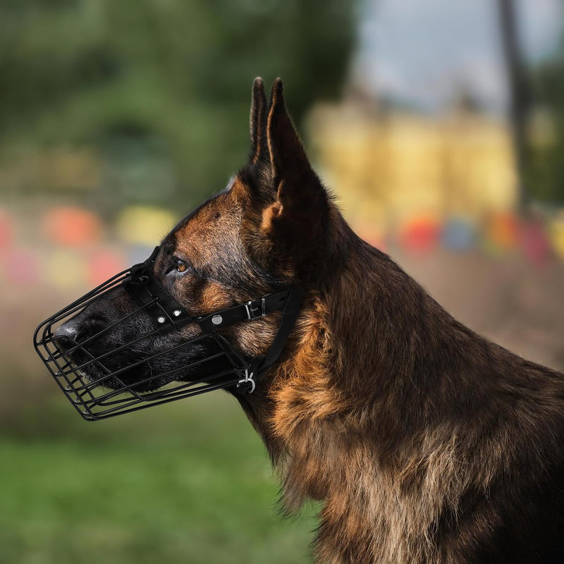 German Shepherd Dog Muzzle Metal Basket for Medium Large Dogs Adjustable Durable Leather Straps Secure Wire Mask for Biting Chewing Barking (Black, L - Size) Black - PawsPlanet Australia