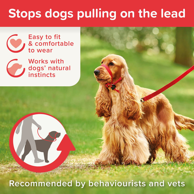 Beaphar | Gentle Leader | Head Collar for Medium Dogs | Stops Pulling On The Lead | Training Aid with Immediate Effect | Endorsed by Behaviourists | Red x 1