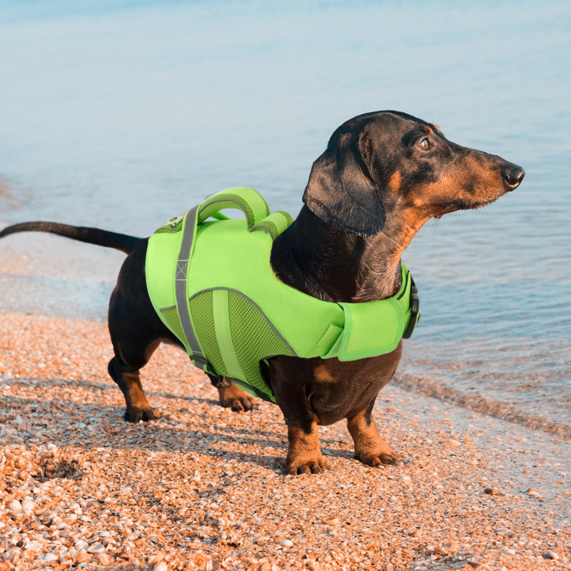 Queenmore Dog Life Jacket, Adjustable Ripstop Dog Life Vest for Swimming Boating, Dog Lifesaver with Superior Buoyancy and Rescue Handle, Dog Swimming Vest for Medium Dogs（Green,M） Green