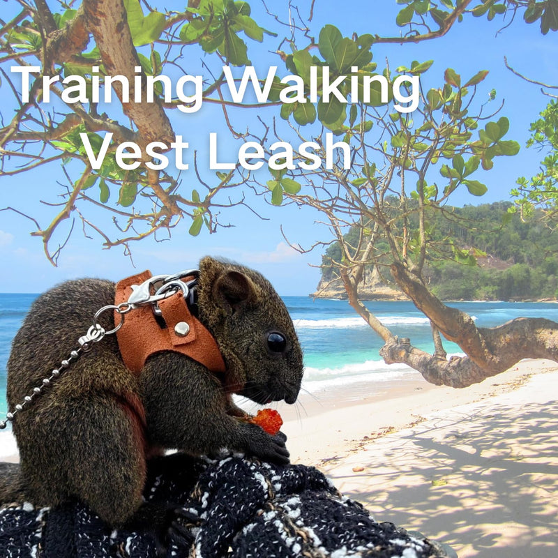 3 Pack Squirrel Harness and Leash Set - Adjustable Soft Leather & Traction Rope Strap Anti-Biting Chainfor Small Pet Walk Jogging Bearded Dragon Reptile Squirrel Rat - PawsPlanet Australia