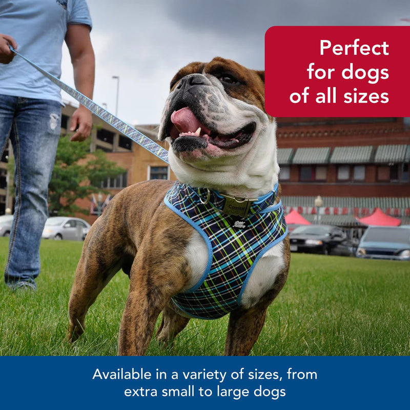 Coastal Pet Ribbon Dog Leash - Contemporary Stylish Look - Durable Fade-Resistant Nylon Material - Perfect for Dogs Brown Paws and Bones, 5/8" x 06' s - PawsPlanet Australia