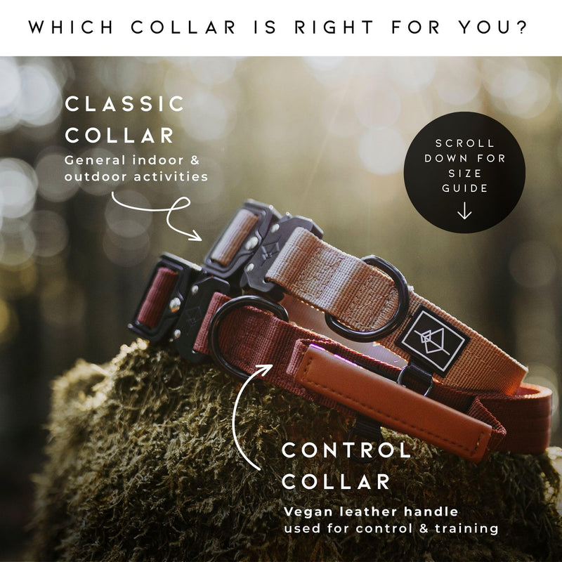 Made to ROAM Premium Dog Collar - Adjustable Heavy Duty Nylon Collar with Quick-Release Metal Buckle (California Horizon, Classic Size 5) California Horizon Classic 5
