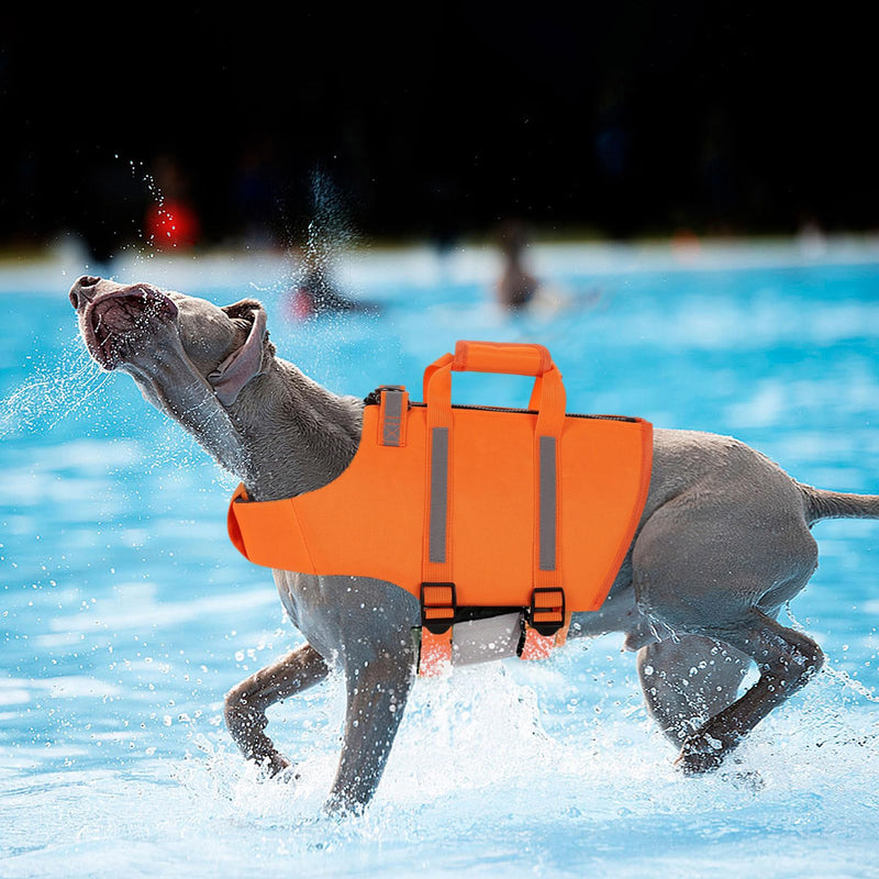 Queenmore Dog Life Jacket, Small Dog Life Vest for Swimming, Dog Life Vest for Large Medium Small Dogs, Dog Floation Vest for Boating, Adjustable Dog Swim Vest with Rescue Handle, Zipper (Orange, S) Orange - PawsPlanet Australia