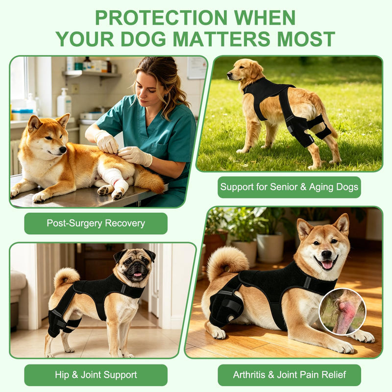 Dog Knee Braces for Torn ACL Hind Leg, Adjustable Dog Leg Braces with Stabilizers, Dual Hind Leg Support to Reduce Pain from Arthritis, Ligament Injury, Hip Dysplasia, Luxating Patella,M M