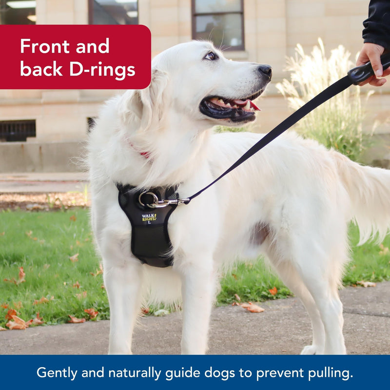 Coastal Pet Walk Right Front-Connect No-Pull Padded Dog Harness - Adjustable & Comfortable Dog Harness - Small & Large Breed Fit - Quality Pet Supplies - Black, LRG (26"-38") Large - 24"-38" girth - PawsPlanet Australia