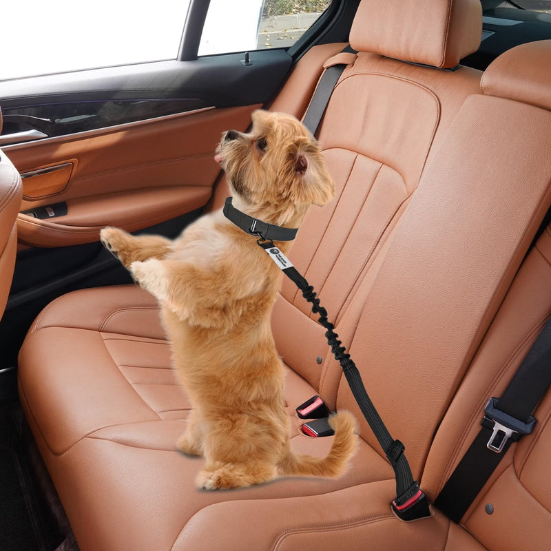 Dog Seatbelt, Heavy Duty Dog Car Leash Seat Belt Adjustable Pet Seatbelt with Exceptional Elastic Bungee Buffer Dog car Seatbelt, Durable & Premium 360 Degree Swivel Dog Restraint for car Travel - PawsPlanet Australia