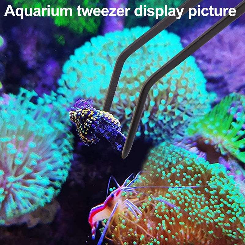 31.5Inch long coral reef Grabber,coral Feeder,Aquarium veggie Feeder,Aquarium Food Clip feeding(Long Reef grabber and coral feeder kits(ANTI-RUST) Long Reef grabber and coral feeder(ANTI-RUST) - PawsPlanet Australia