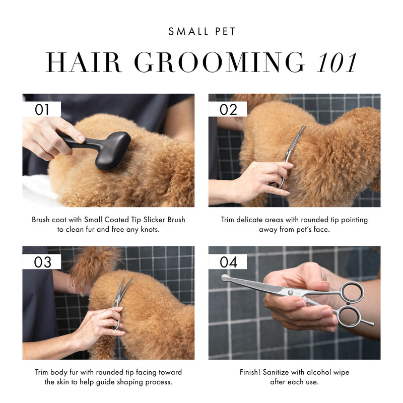 Tweezerman 7" Pet Grooming Scissors with Safety Round Tips, Professional Curved Grooming Shears for Dogs and Cats 7" Shears - PawsPlanet Australia