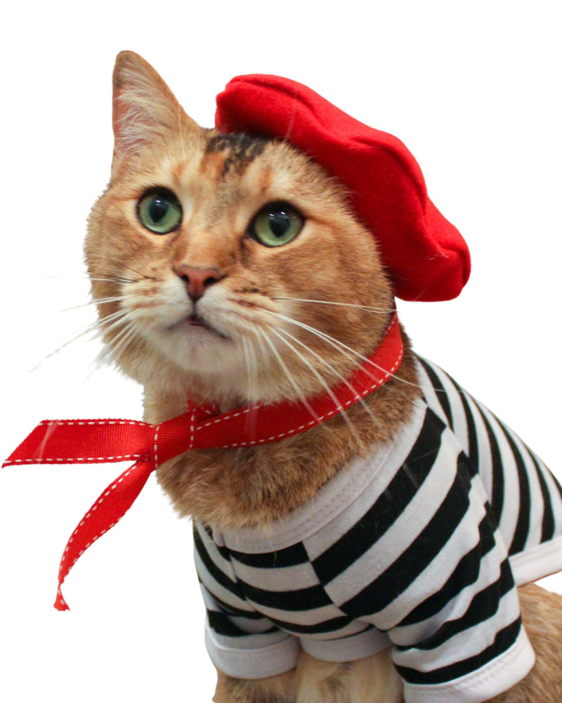 Cat and Human MATCHING berets! Twinning with the feline, with or without full french outfit! (Medium) Medium - PawsPlanet Australia