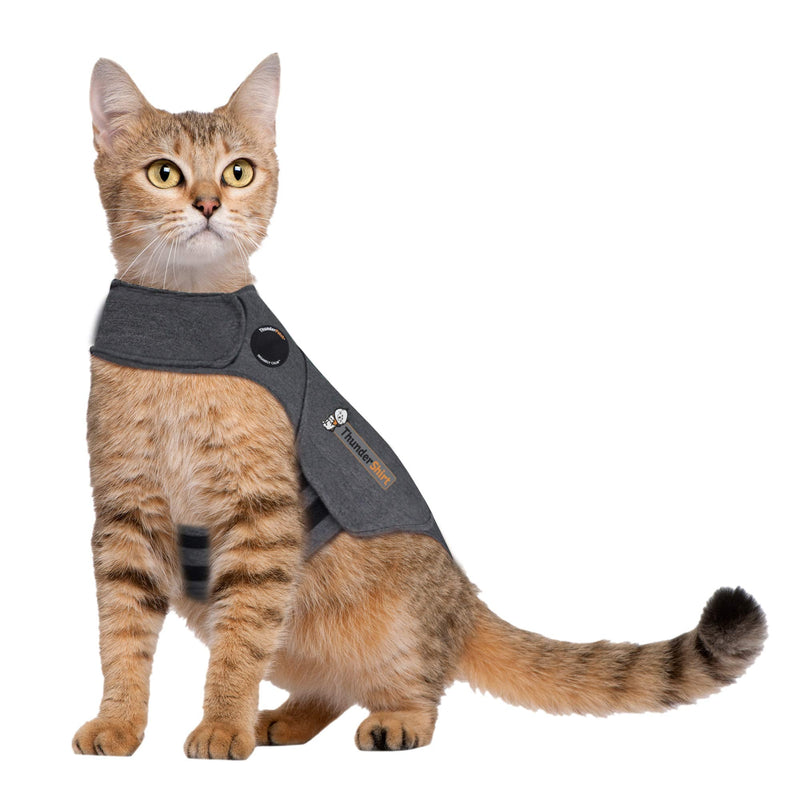 Thundershirt Classic Cat Anxiety Jacket, Heather Gray, Medium (9 to 13 lbs), THU-009 Medium (9 to 13 lbs) - PawsPlanet Australia