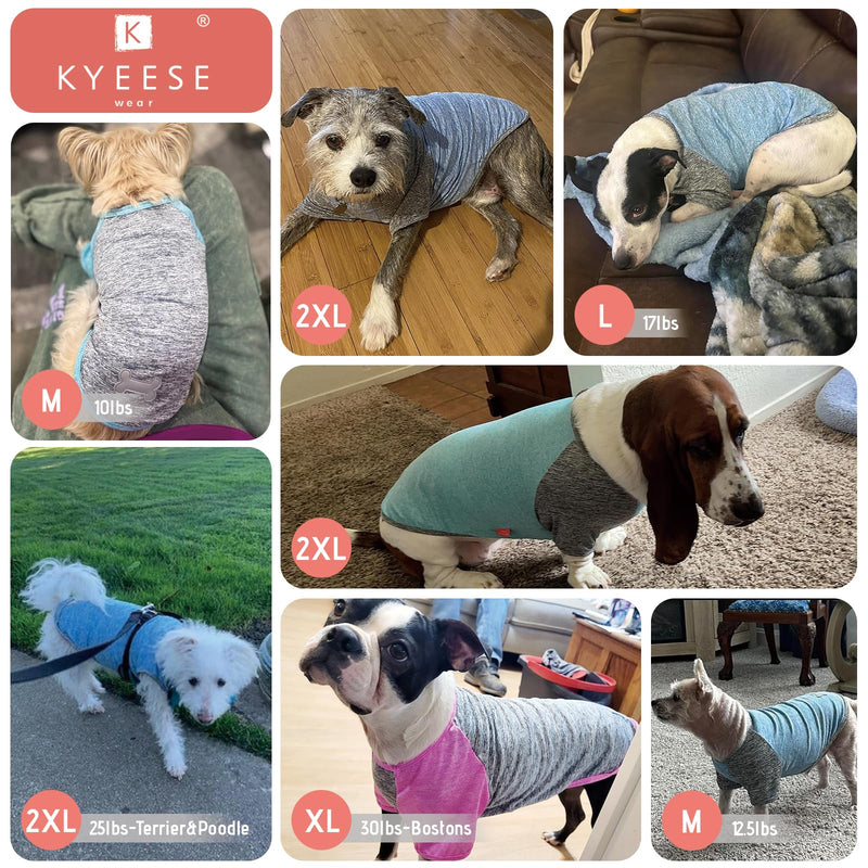 KYEESE 2 Pack Dog Shirt Raglan Sleeve Quick Dry Lightweight Stretchy Dog T-Shirts with Reflective Label Puppy Shirts for Small Dogs Sun Protection, Medium, Grey+Blue Medium (7-13lbs) 2# 2Pack(Grey+Lake Blue) - PawsPlanet Australia