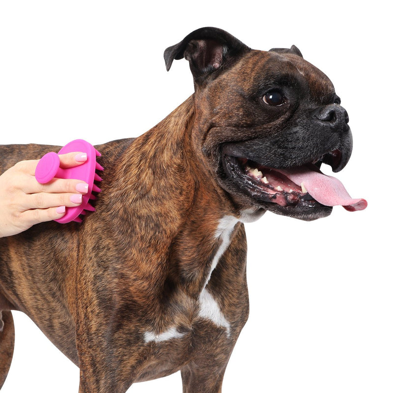 Dexas BrushBuster Silicone Gentle Dog Grooming and Massage Brush Blue - PawsPlanet Australia