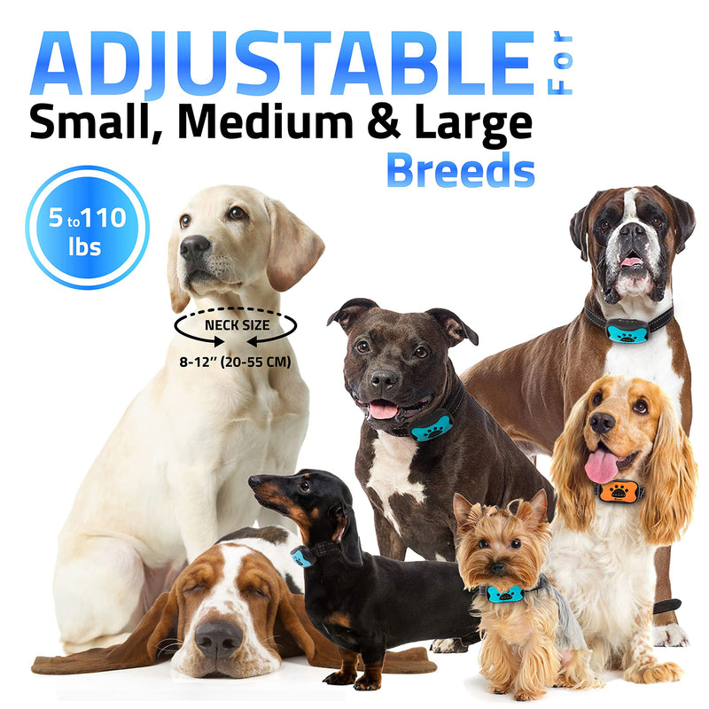Rechargeable Anti Bark Collar - No Shock Training Dog Collar - Humane with Vibration and Sound Barking Collar for Small Medium Large Dogs - 2 Pack Blue Orange (Rechargeable) Orange & Blue Rechargeable - PawsPlanet Australia