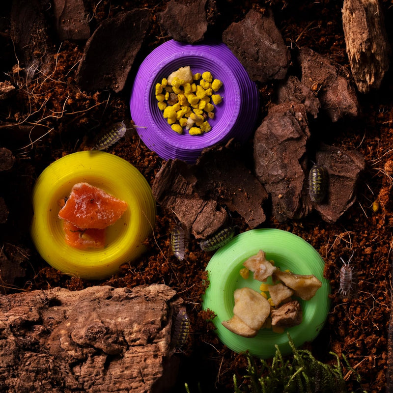 12pcs Isopod Feeder Bowls, Tiny Feeding Dish for Isopods, Springtails, Dubia Roaches, Dwarf Invertebrates – Colorful Food Dishes for Terrariums and Enclosures - PawsPlanet Australia