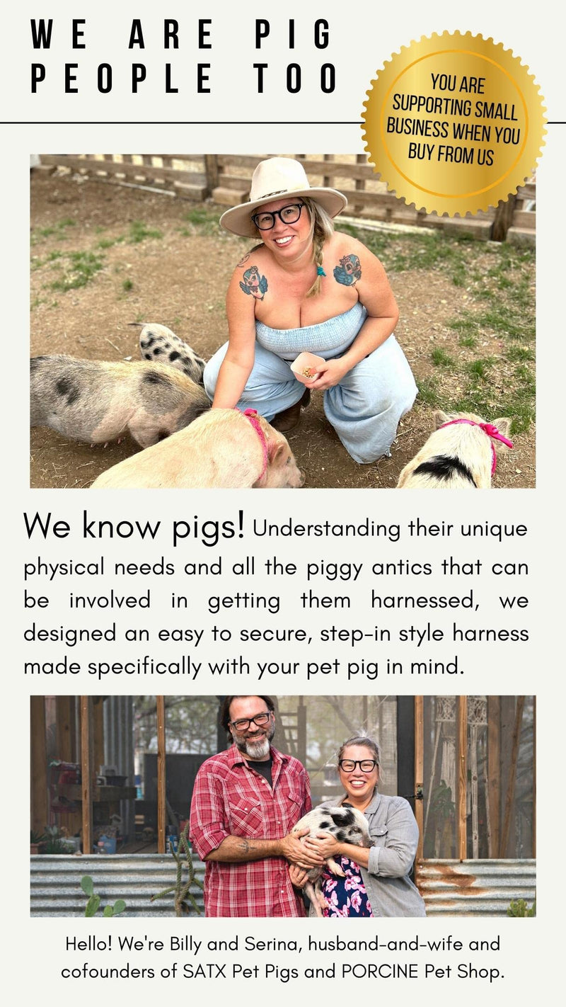 Pig Harness Leash-Fully Adjustable Pig Leash Harness for Small & Medium Pigs-Easy Step in Harness-Infinity Style Pet Pig Leash-Durable & Gentle Mini Pig Harness-Mini Pig Supplies (Small-Mauve Pink) Mauve Pink - PawsPlanet Australia