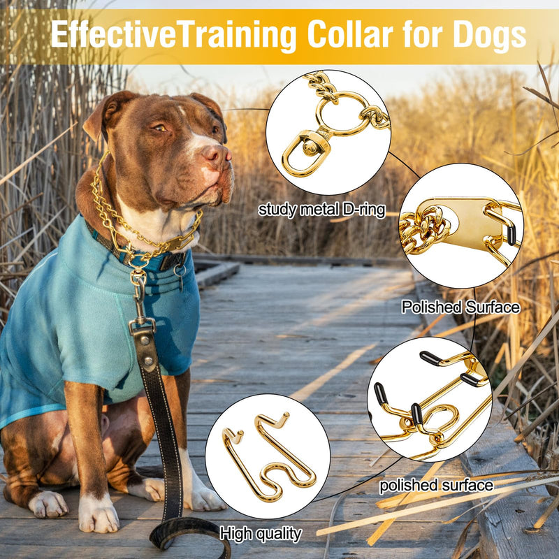 Dog Pinch Collar Stainless Steel,Gold Prong Dog Training Collar,No Pull Martingale Collar Stainless Steel Metal Chain Collar,Adjustable Size Collar for Medium and Large Dogs(S, Gold) S - PawsPlanet Australia