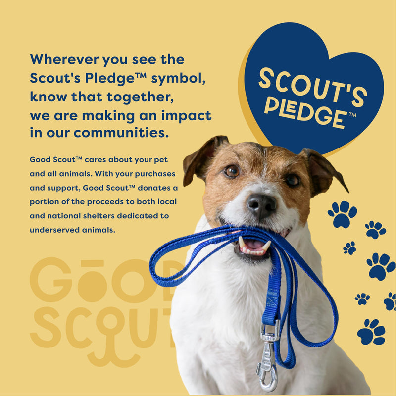 Good Scout Heavy Duty Dog Harness, Durable Dog Body Harness for Walking & Training, Brick, Large - PawsPlanet Australia