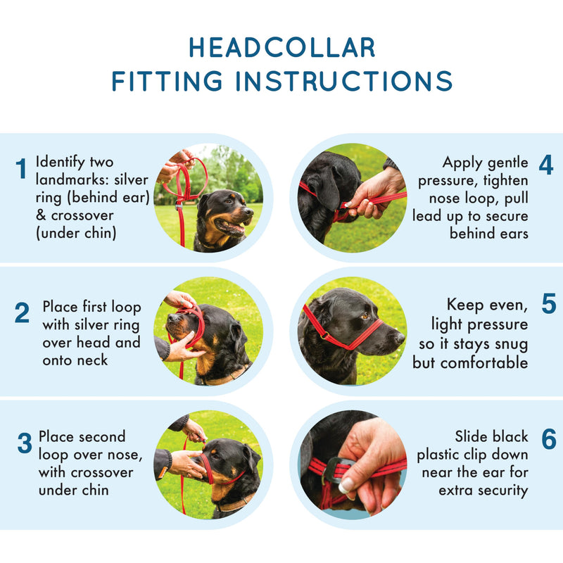 Large Anti Pull Dog Headcollar - Trainer Approved - Soft & Gentle Control - Practical Dog Training & Behaviour Aid - Left Hand - UK Made - Doesn't Include Lead - Black Large - PawsPlanet Australia
