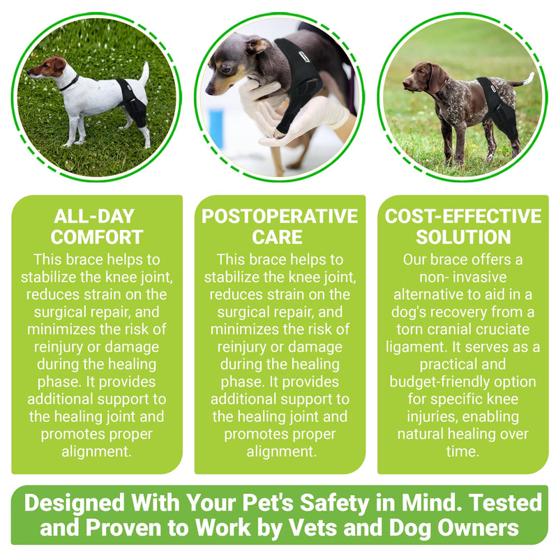 Dog ACL Knee Brace Dog ACL Dog Braces for Back Leg. Dog Front Leg Brace. Dog Assistance for Back Legs. Knee Brace for Dog Knee Brace for Luxating Patella. Dog Shoulder Brace. Dog Leg Brace Front L - PawsPlanet Australia