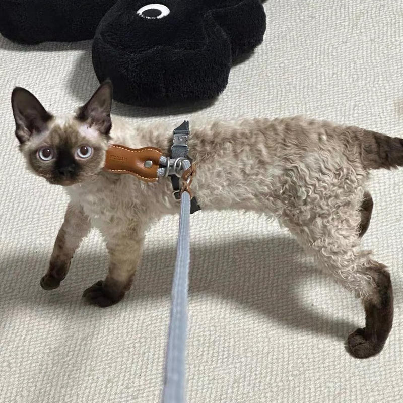 Cat Harness and Leash Set,Adjustable Escape-Proof for Walking Cats,Breathable Lightweight and Soft Harness for Small to Large Cats (Grey) Grey