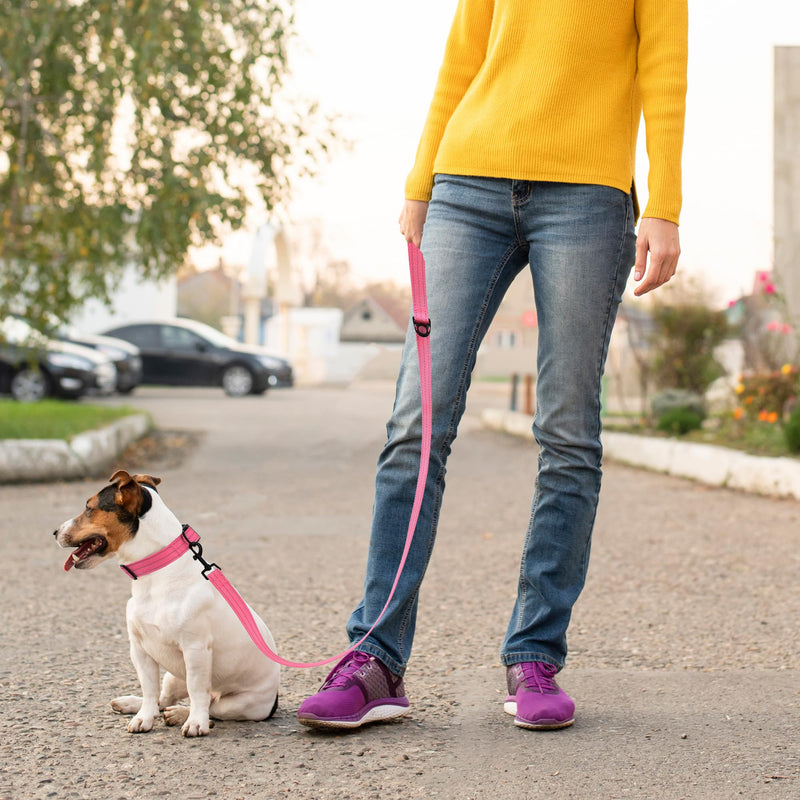Mile High Life | Reflective Dog Collar Leash Set | Small Medium Dog Collar Leash Adjustable (Reflective Solid Pink, Large (Pack of 2)) Large (Pack of 2) Reflective Solid Pink - PawsPlanet Australia