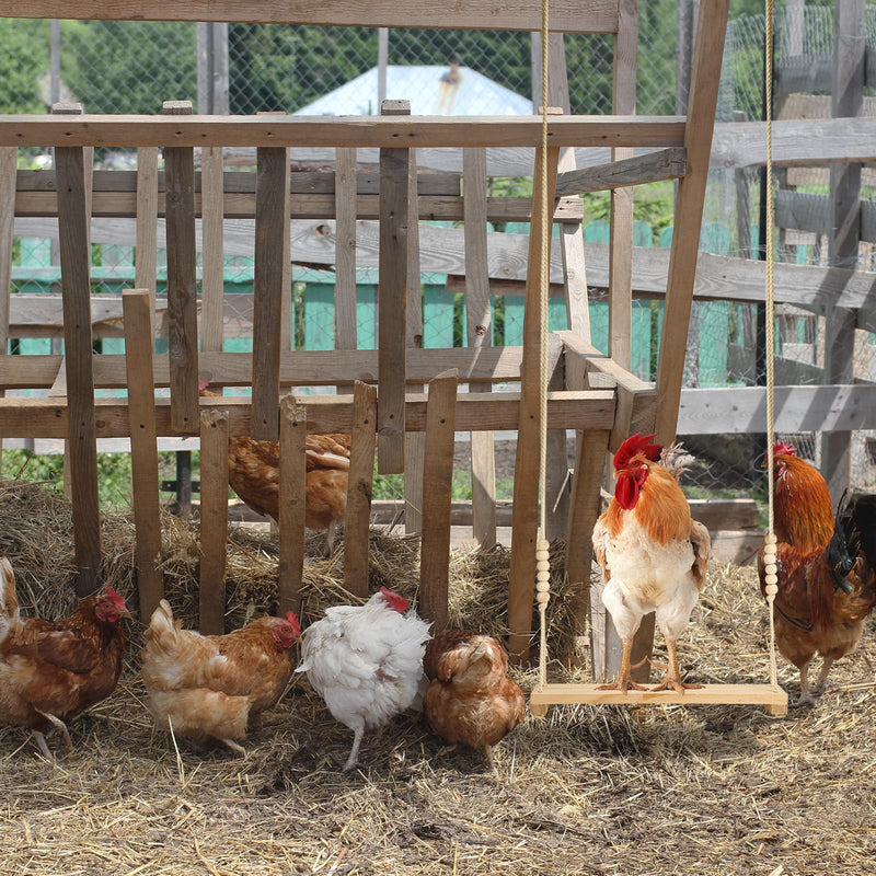 Chicken Swing Toy, Wooden Hen Swing Hanging Chicken Perch Ladder Swing Wood Stand Decorative Chicken Coop Accessories Toys Supplies for Rooster Chicken Owners & Lovers - PawsPlanet Australia