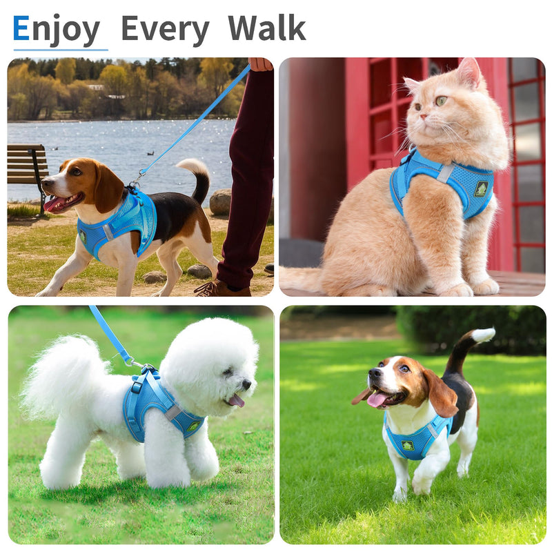 Step in Dog Harness with Leash Set, Adjustable Soft Padded and Breathable Mesh for Small Sized Dog, Reflective No Pull No Choke Cat Vest Harness, Easy Control Pet Vest, Blue S - PawsPlanet Australia