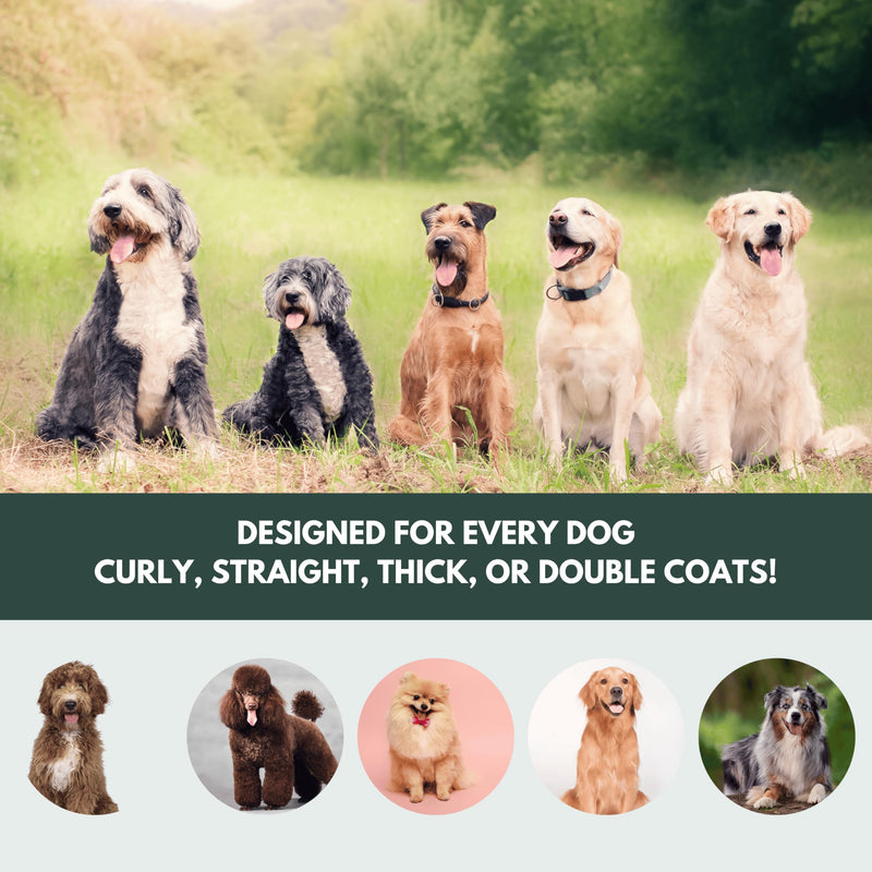 Premium Dog Slicker Brush – Doodle Grooming Brush for Long Haired Dogs - Goldendoodle, Labradoodle, Poodle & Golden Doodle – Ideal for Wavy & Curly Hair - Detangles & Fluffs Curly, Double Coats - PawsPlanet Australia