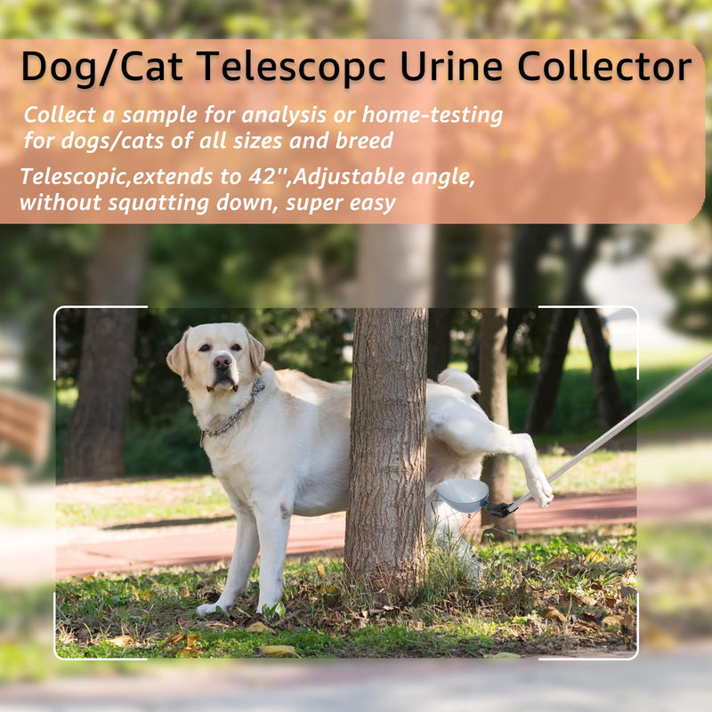Dog Cat Urine Collector - Telescopic Urine Sample Catcher for UTI Test Kit,Dog Pee Stick for Veterinary Supplies.Dog Pregnancy Pee Test Kit w/o Medicine Feeder - PawsPlanet Australia