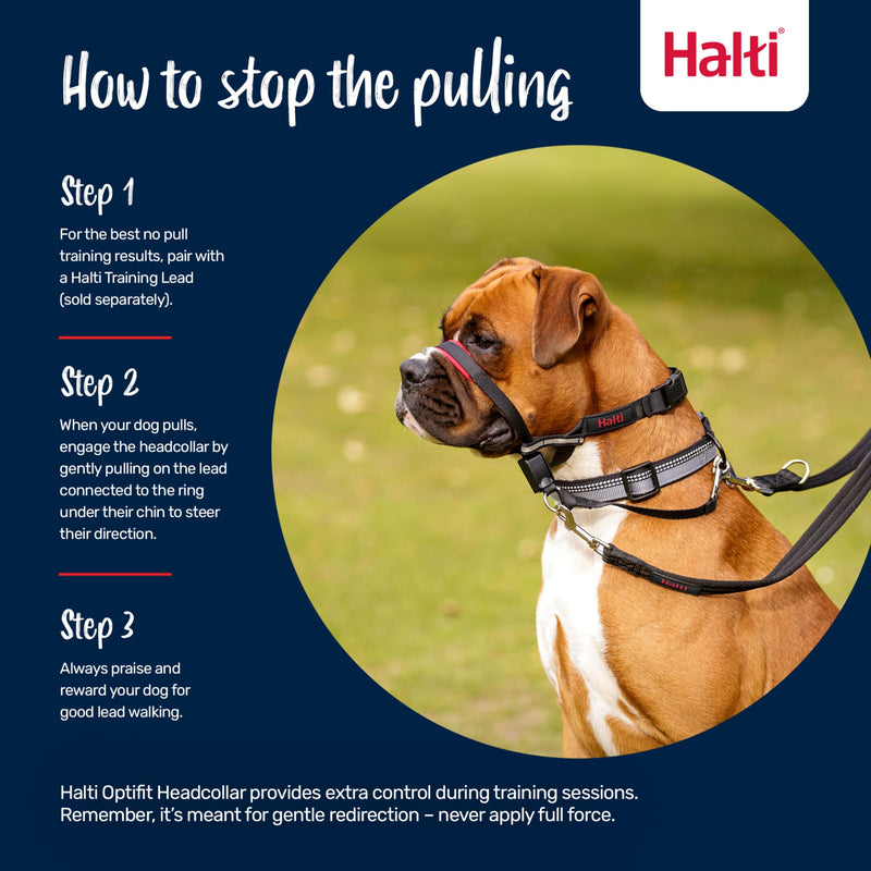 HALTI Optifit Headcollar - To Stop Your Dog Pulling on the Leash. Adjustable, Reflective and Lightweight, with Padded Nose Band. Dog Training Anti-Pull Collar for Large Dogs (Size Large) - PawsPlanet Australia