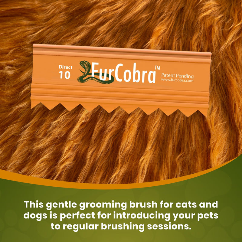 Direct 10 Pet Grooming Brush 3.54" - Gentle, No Metal Blades, Soft Dog, Cat Brush - Train Pets to be Brushed - Portable, Easy To Use Slicker Pet Grooming Tool for Dog, Cat, Puppy, Kitten Hair - PawsPlanet Australia