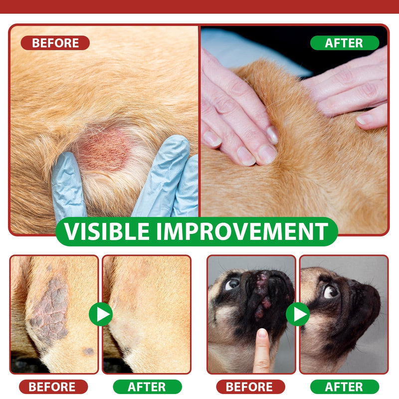 Hot Spot Itch Relief Spray for Dogs Anti-Itch Hot Spot Treatment, Pet Wound Care Spray for Skin Itchy, Irritated Skin, Allergy, Skin Rashes, Moisturiser for Dry Skin - 100 ml