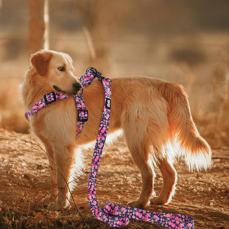 QQPETS Dog Harness Leash Set Adjustable Heavy Duty No Pull Halter Harnesses for Small Medium Large Breed Dogs Back Clip Anti-Twist Perfect for Walking S(14"-20" Chest Girth) Floral Pink